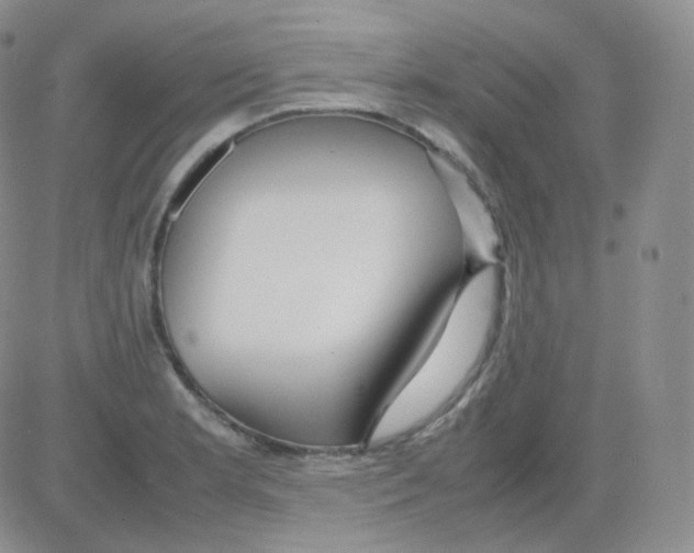 X0000082701181200702232222