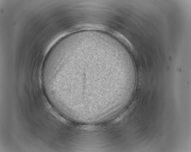 X0000082701182200702232222