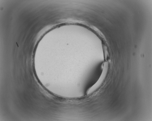 X0000082701183200702232222