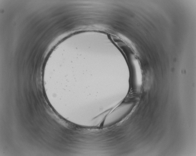 X0000082701184200702232222