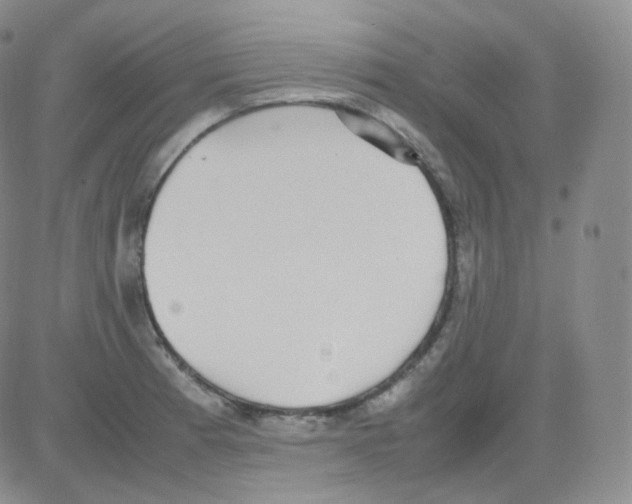 X0000082701185200702232222