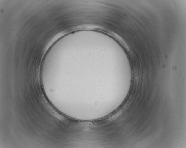 X0000082701186200702232222