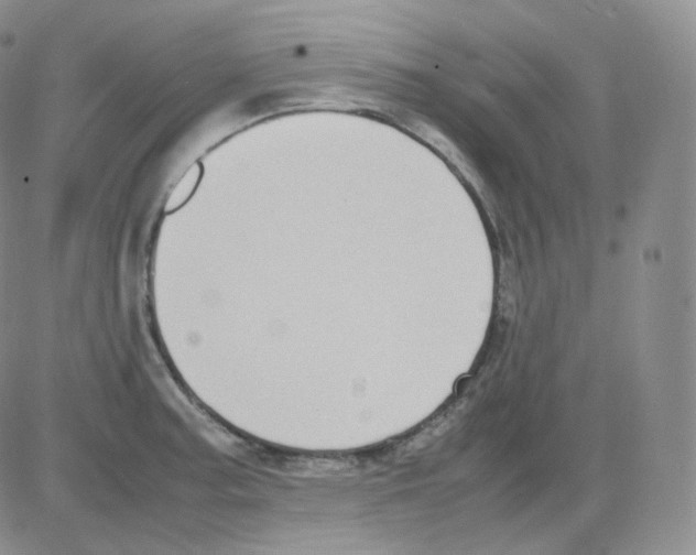 X0000082701187200702232222