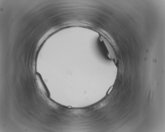 X0000082701188200702232222