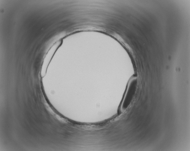 X0000082701189200702232222