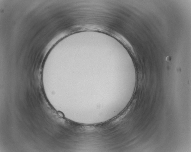 X0000082701190200702232222