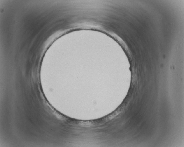 X0000082701191200702232222