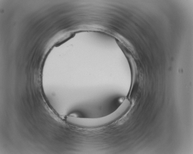 X0000082701192200702232222