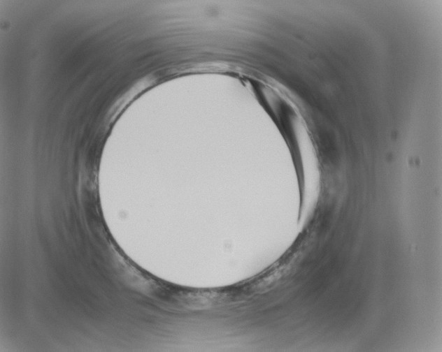 X0000082701193200702232222