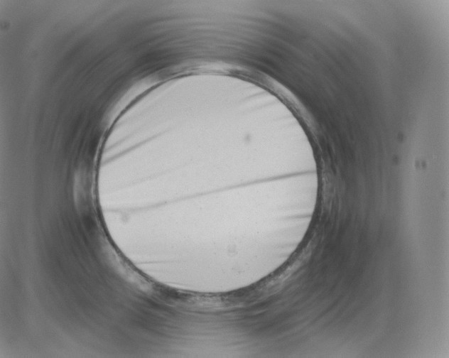 X0000082701194200702232222