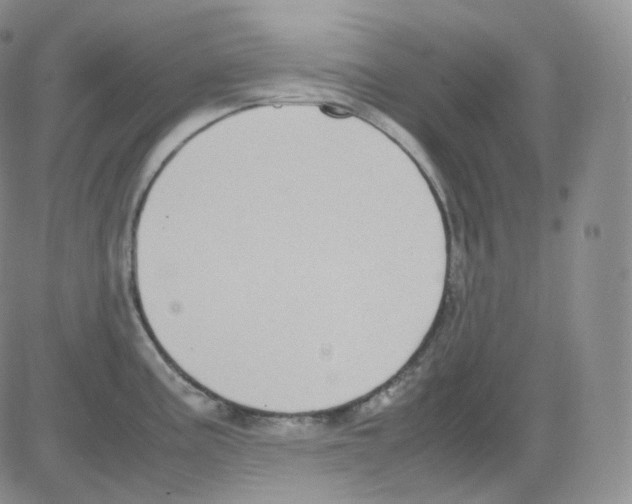 X0000082701195200702232222