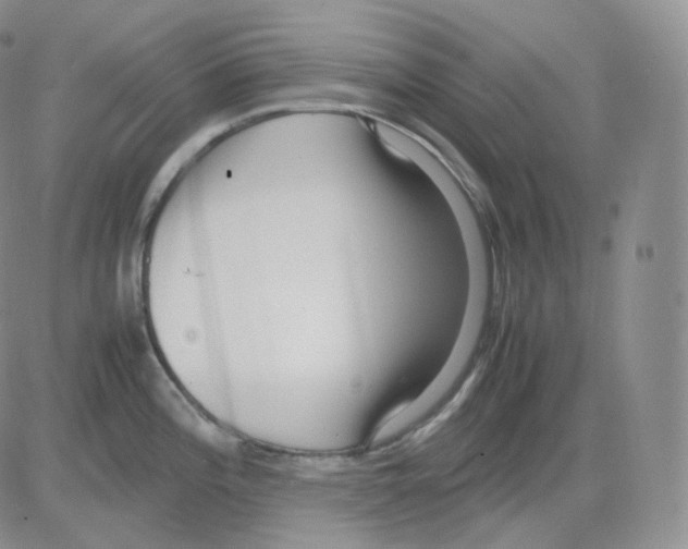 X0000082701196200702232222