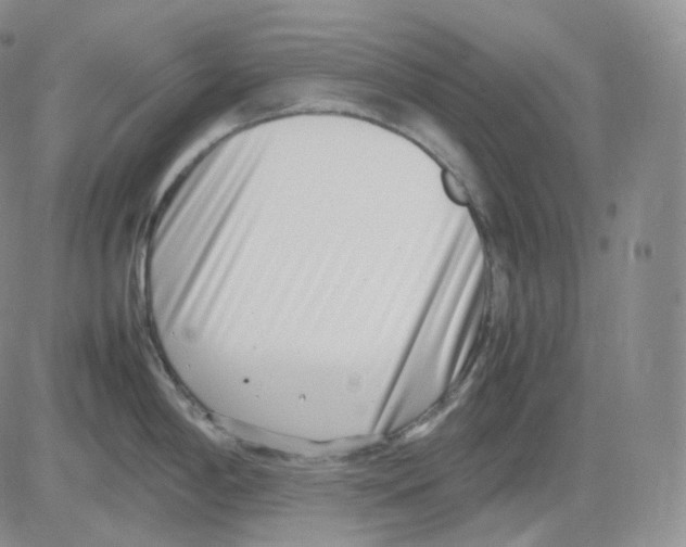 X0000082701198200702232222