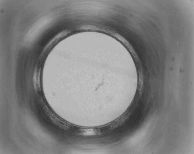 X0000082701199200702232222