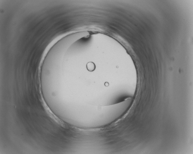 X0000082701200200702232222