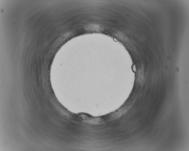 X0000082701201200702232221