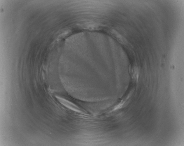 X0000082701202200702232221