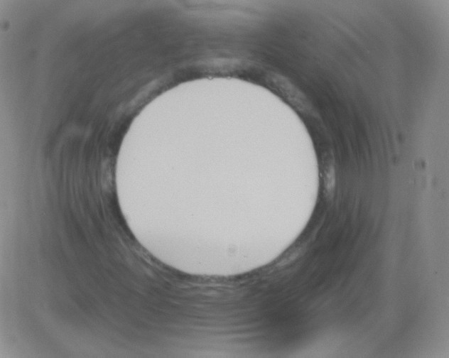 X0000082701204200702232221