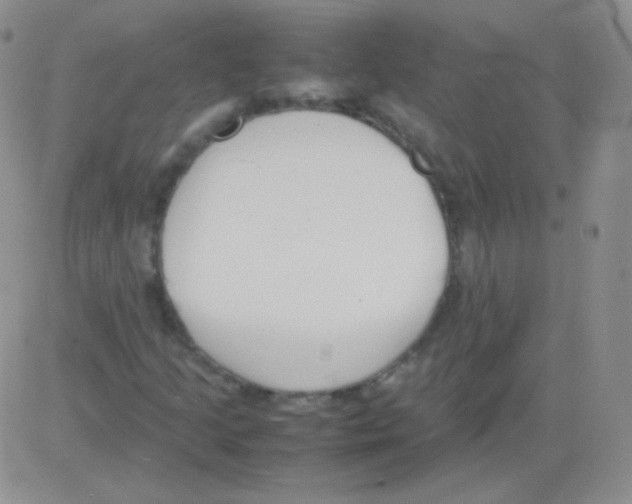 X0000082701205200702232221