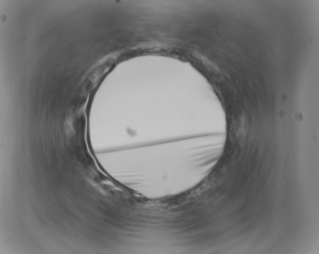 X0000082701206200702232221