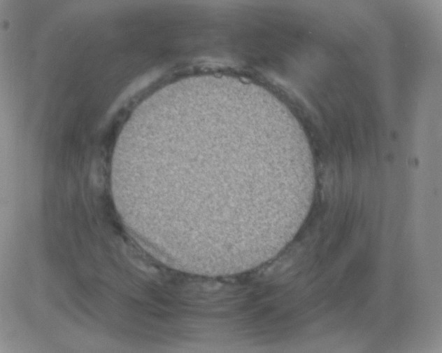 X0000082701207200702232221