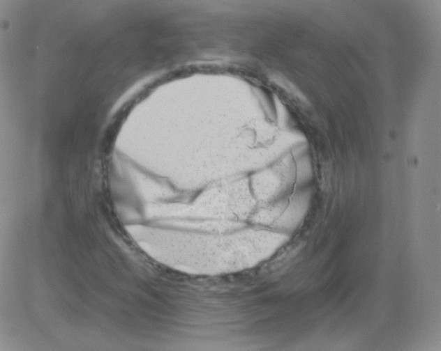 X0000082701208200702232221