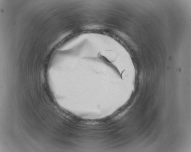 X0000082701209200702232221