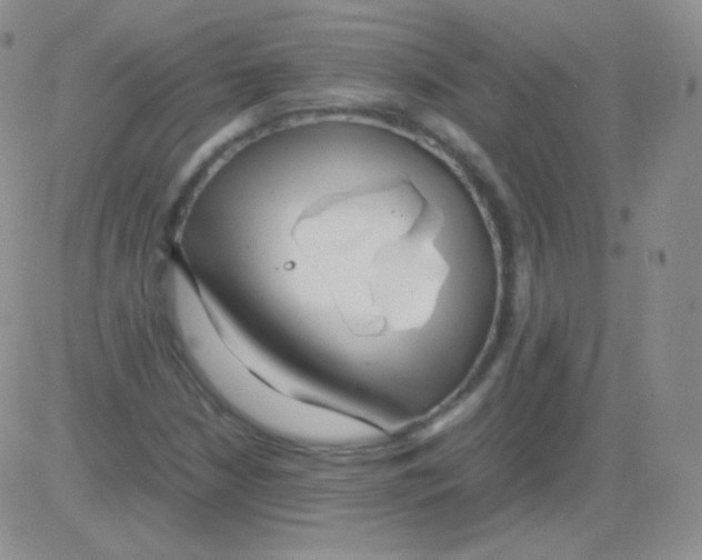 X0000082701210200702232221