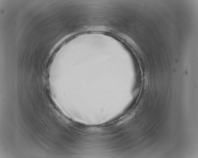 X0000082701212200702232221