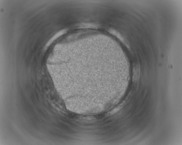 X0000082701213200702232221