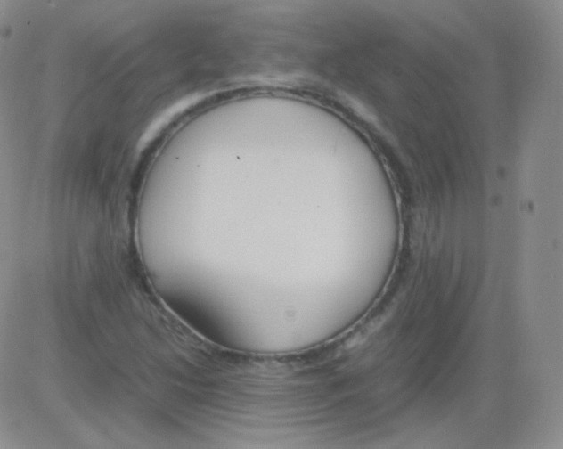 X0000082701214200702232221