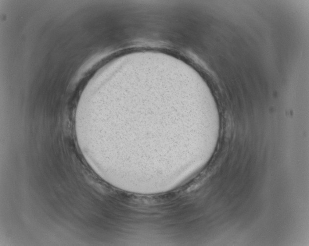 X0000082701215200702232221