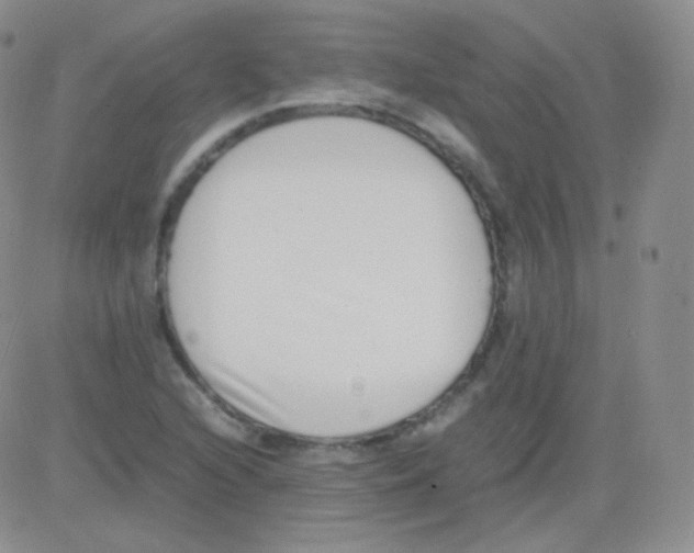 X0000082701216200702232221