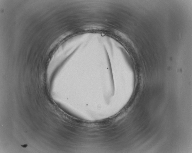 X0000082701217200702232222