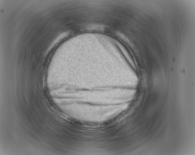 X0000082701219200702232222