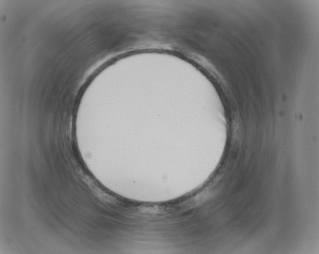 X0000082701220200702232222