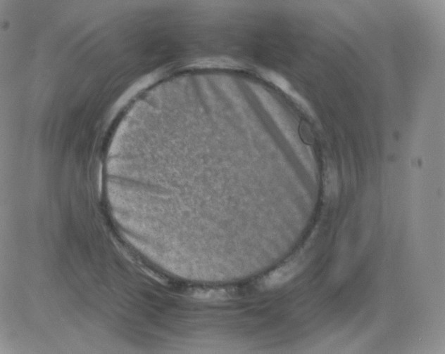 X0000082701221200702232222