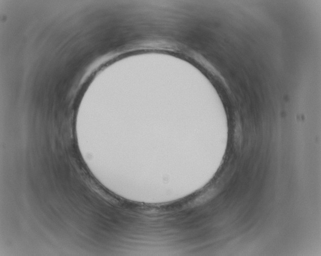 X0000082701222200702232222