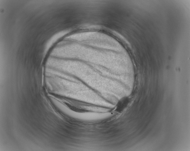 X0000082701223200702232222