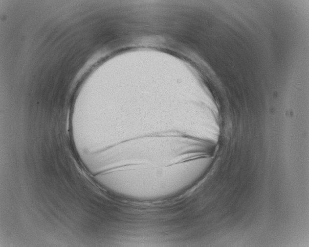 X0000082701224200702232222