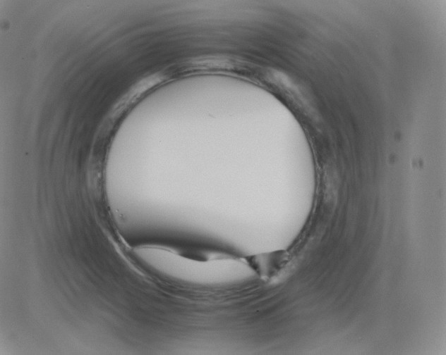 X0000082701225200702232222