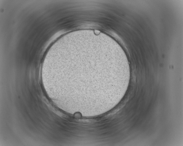 X0000082701227200702232222