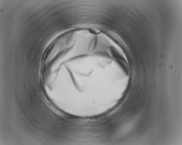 X0000082701228200702232222