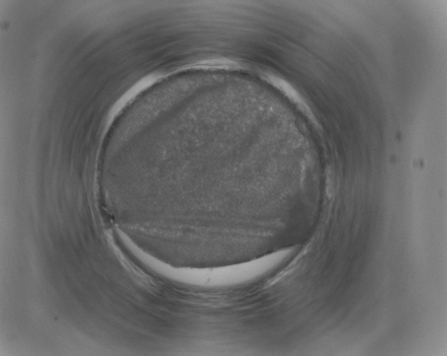 X0000082701229200702232222