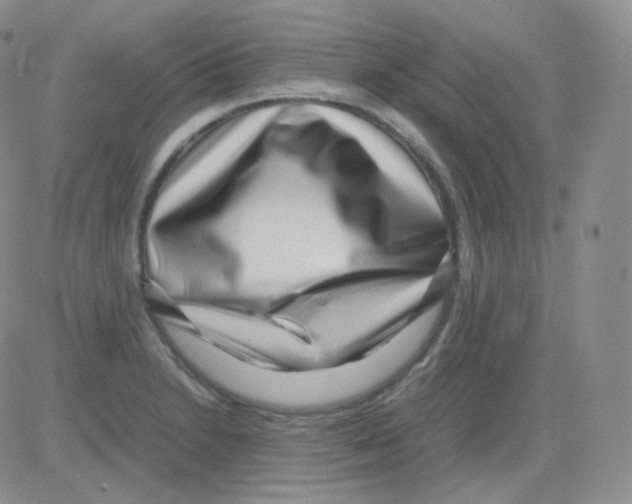 X0000082701230200702232222