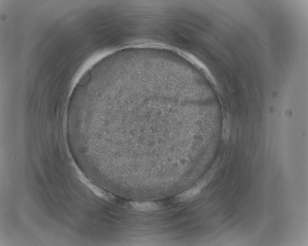 X0000082701231200702232222