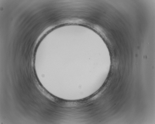 X0000082701232200702232222