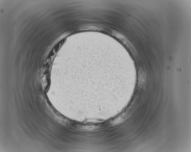 X0000082701233200702232222