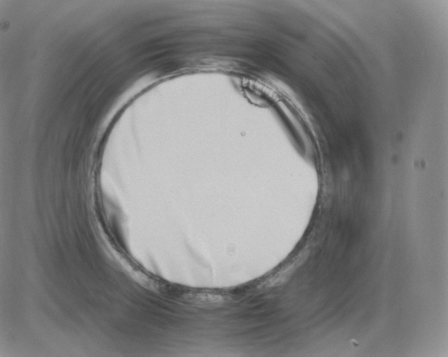 X0000082701235200702232222