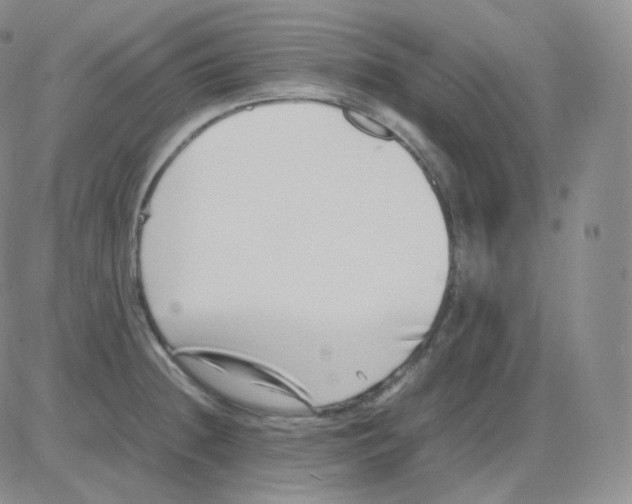 X0000082701236200702232222